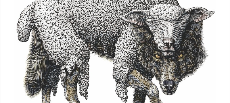 False teachers are wolves in sheep's clothing. The New Testament warns us about false teachers.